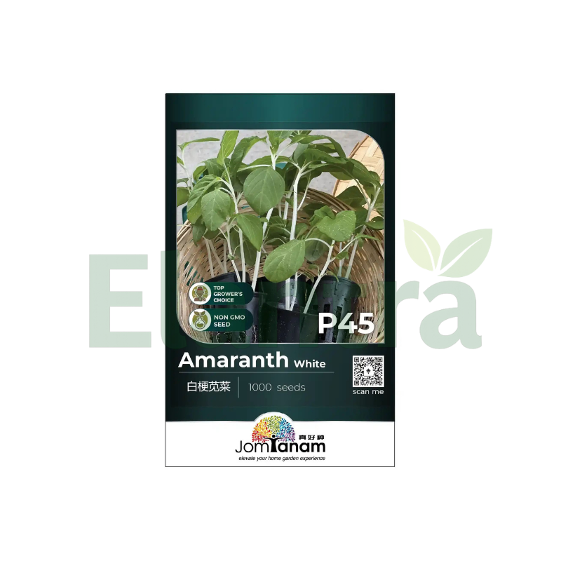 P45 AMARANTH WHITE